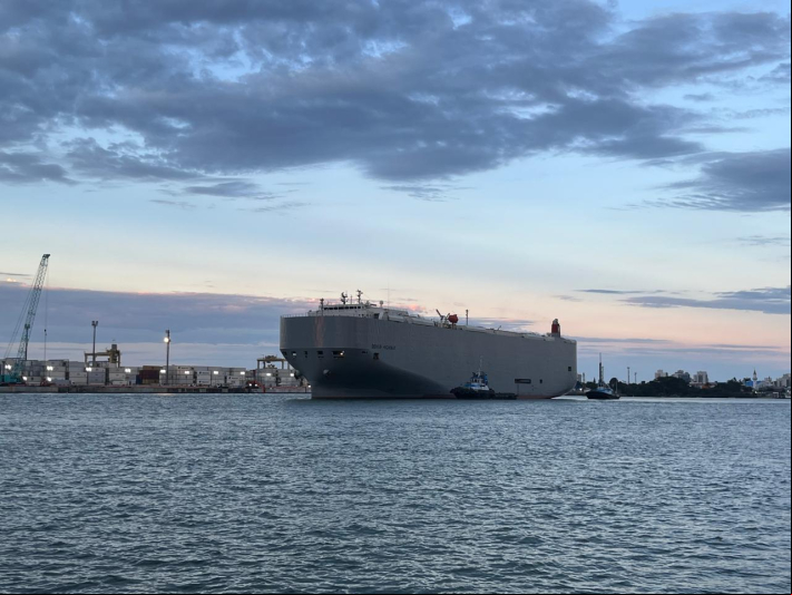 Porto de Itajaí recebe carga de veículos de luxo nesta terça-feira (20)